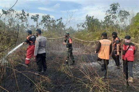 Bmkg Delapan Titik Panas Terdeteksi Di Kaltim Antara News