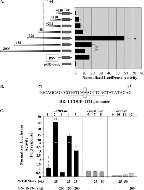 Mapping The Coup Tfii Promoter And Its Transactivation By Hnf4 ␣ A Download Scientific