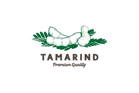 Vintage Hand Drawn Tamarind Sketch For Farm Product Logo Design