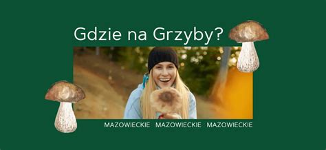 Gdzie Na Grzyby Mazowieckie Lasy To Dobry Kierunek W