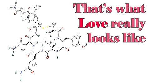 What Love Really Looks Like The Chemistry Of Love Oxytocin Youtube