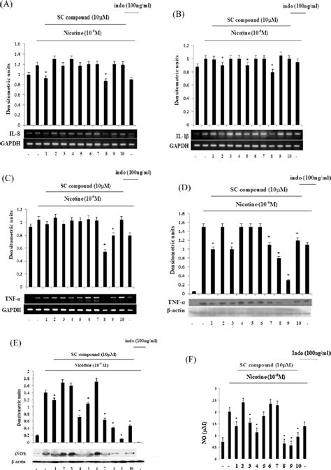 Effects Of Scc On Expression Of Il 8 Il 1β Tnf α Inos And No Download Scientific Diagram