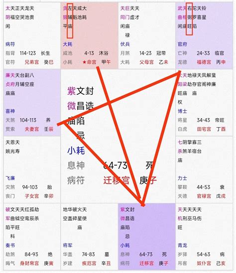 紫微斗数案例紫微星在子的宫位霄云腾国学