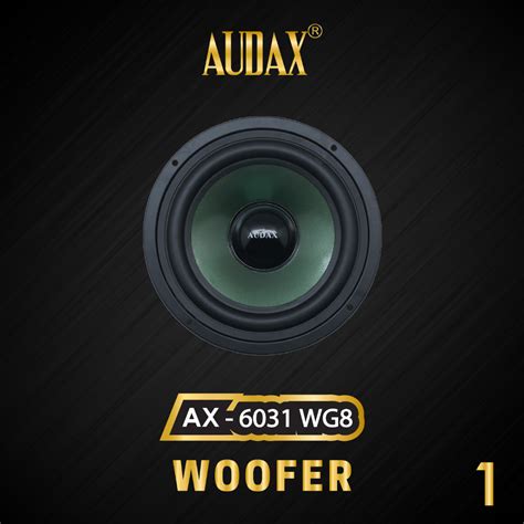 Jual Audax Speaker Pasif 6 AX 6031 WG8 Woofer Shopee Indonesia