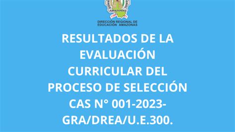 Resultados De La Evaluaci N Curricular Del Proceso De Selecci N Cas N