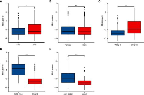 Frontiers Establishment And Validation Of A Novel Prognostic Model