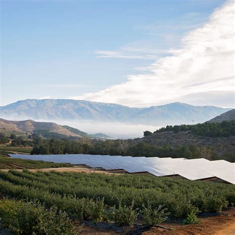 FairField Farms | Organic Farm San Diego, CA