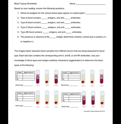 Components Of Blood And Blood Groups Worksheet Distance