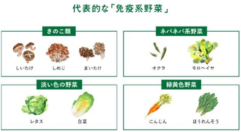 野菜が体を守る！免疫力アップ効果が期待できる野菜と食べ方 大阪で農業っておもろいやん