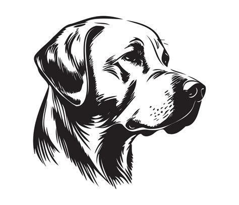 Labrador Retriever Face, Silhouette Dog Face, black and white Labrador Retriever vector 22932244 ...