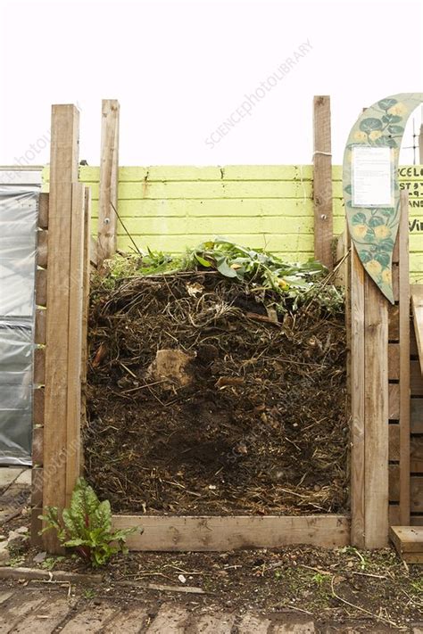 Compost heap - Stock Image - C051/6995 - Science Photo Library