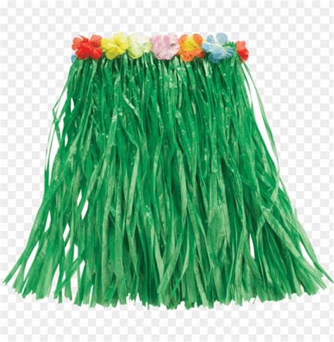 Hawaiian Grass Skirt Clip Art