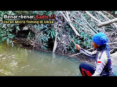 Mancing Wader Pakai Micro Fishing Super Lentur Youtube