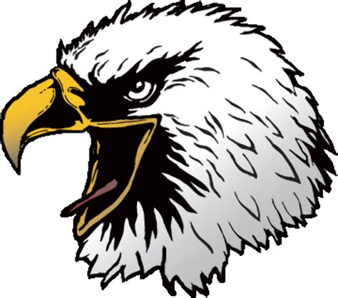 Download High Quality eagle clipart mascot Transparent PNG Images - Art ...