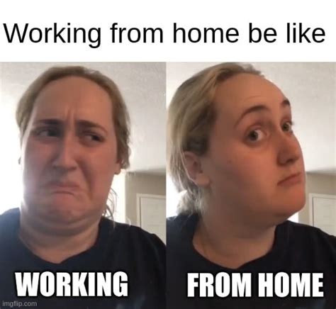 70+ Best work from home memes - Pumble