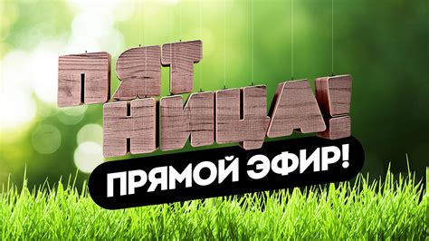 Прямые эфиры: Бесплатные – смотреть онлайн в высоком качестве на Rutube