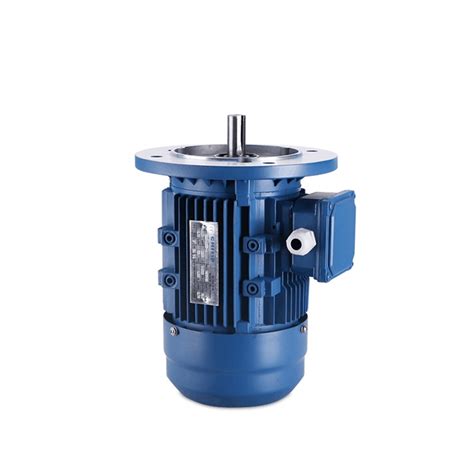 Aluminum Housing Three Phase Induction Electric Motor Ms From China