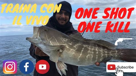 TRAINA CON IL VIVO ONE SHOT ONE KILL CERNIA BIANCA YouTube