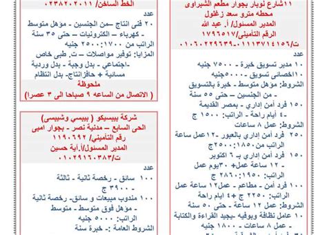 القوى العاملة توفر أكثر من 5 آلاف فرصة عمل بالقطاع الخاص تفاصيل