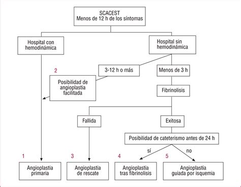 Estrategias De Reperfusión En El Infarto Agudo De Miocardio Con Elevación Del Segmento St