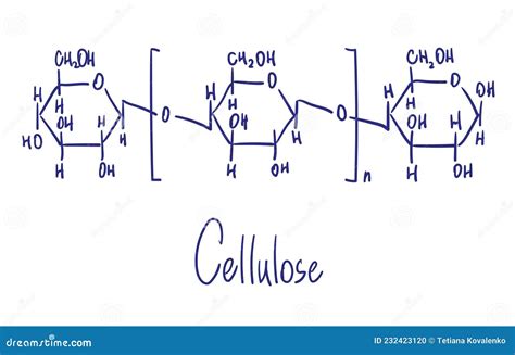 Estructura Qu Mica De Celulosa Ilustraci N Vectorial Con Mano