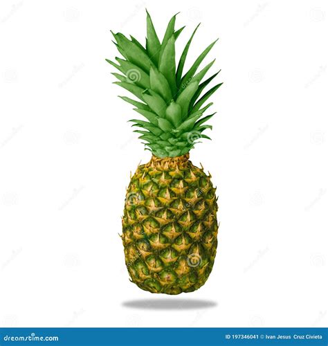 Clean And Isolate Pineapple On A White Background As A Resource High