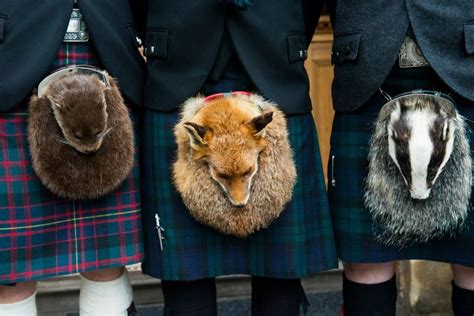 3 Full Mask Traditional Scottish Sporrans Otter Fox And Badger