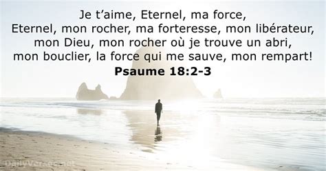 Psaume 18 DailyVerses Net