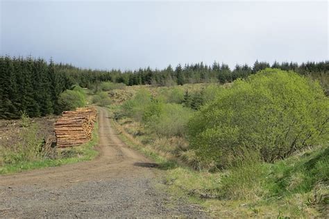 Logging Road Wauchope Forest Richard Webb Cc By Sa 2 0 Geograph