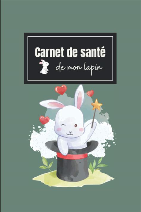 Buy Carnet De Sant De Mon Lapin Cahier De Suivi M Dical Remplir