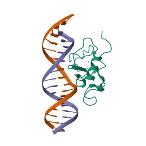 RCSB PDB 2L1G RDC Refined Solution Structure Of The THAP Zinc Finger