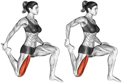 Essential Quadriceps Stretch For Stronger Thigh Muscles Fitness Volt