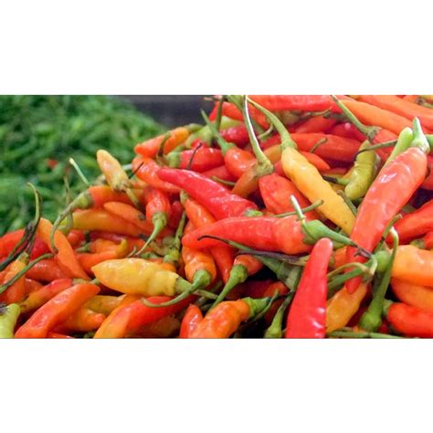 Jual Cabe Caplak Segar Cabai Rawit Merah Shopee Indonesia