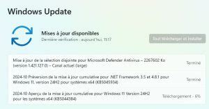 Windows H Quels Sont Les Probl Mes Connus Bugs Malekal