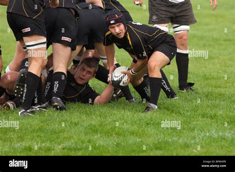 Scrum Half High Resolution Stock Photography And Images Alamy