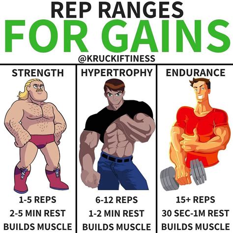 Rep Ranges For Gains When It Comes To Building Muscle Many People