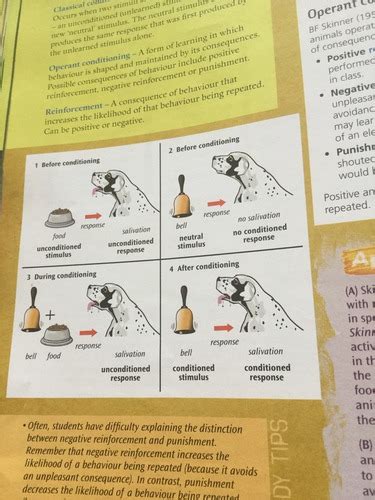 Approaches Behaviourism Flashcards Quizlet