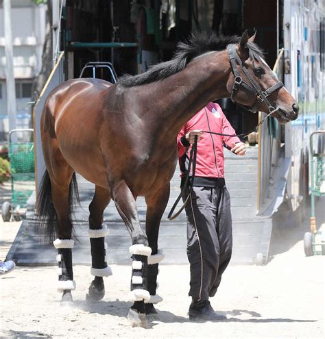 ＜日本ダービー関西馬到着＞東京競馬場に到着したヴェロックス（撮影・郡司 修） ― スポニチ Sponichi Annex ギャンブル