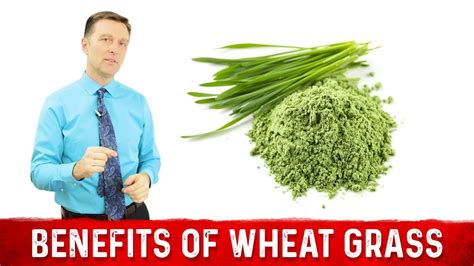 12 Scientific Health Benefits Of Wheat Grass Powder By Dr Berg Youtube