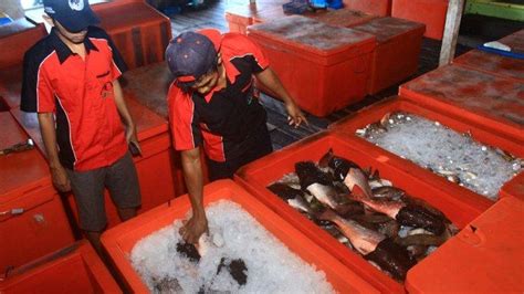 TPI Muara Badak Mendesak Dibangun Masih Terkendala Masalah Ini Begini