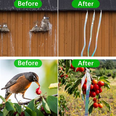 Snapklik.com : 984FTEffective Birds Scare Reflective Ribbon Reflectors