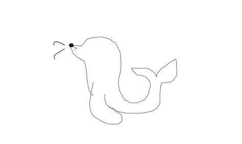 Foca Desenho De Horacrazy Gartic