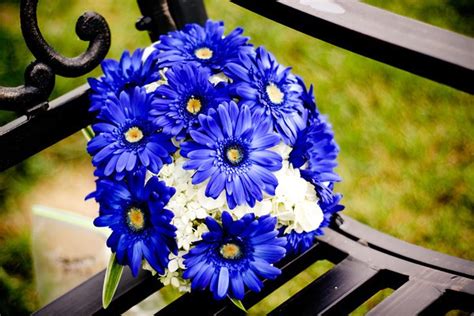 Blue Daisies Archives - Bouquet Wedding Flower