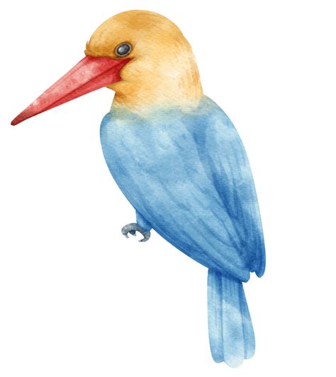 Watercolor Stork Billed Kingfisher Bird Illustration 9373312 Png