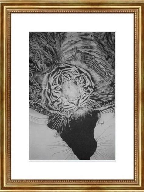 Dibujo de Tigre, Dibujo realista de Tigre, Dibujo hecho con lápices de ...