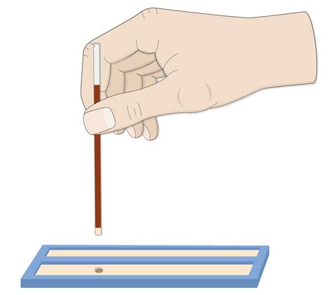 Hematocrit Test Lesson Human Bio Media