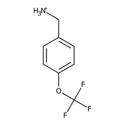 4 Trifluoromethoxy Benzylamine 97 Thermo Scientific Chemicals