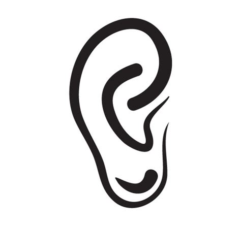 Pictures Of The Ear Clipart Best