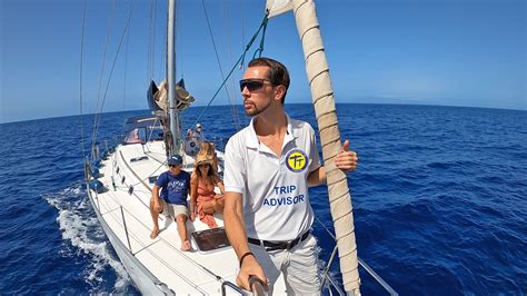 Whale watching Tenerife, online booking, daily offers for boat trips.