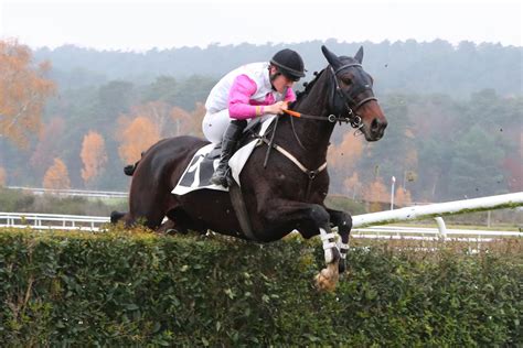 Dimanche Grand Cross de Saumur Rentrée d Ever Forget Me